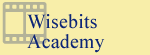 Wisebits Academy